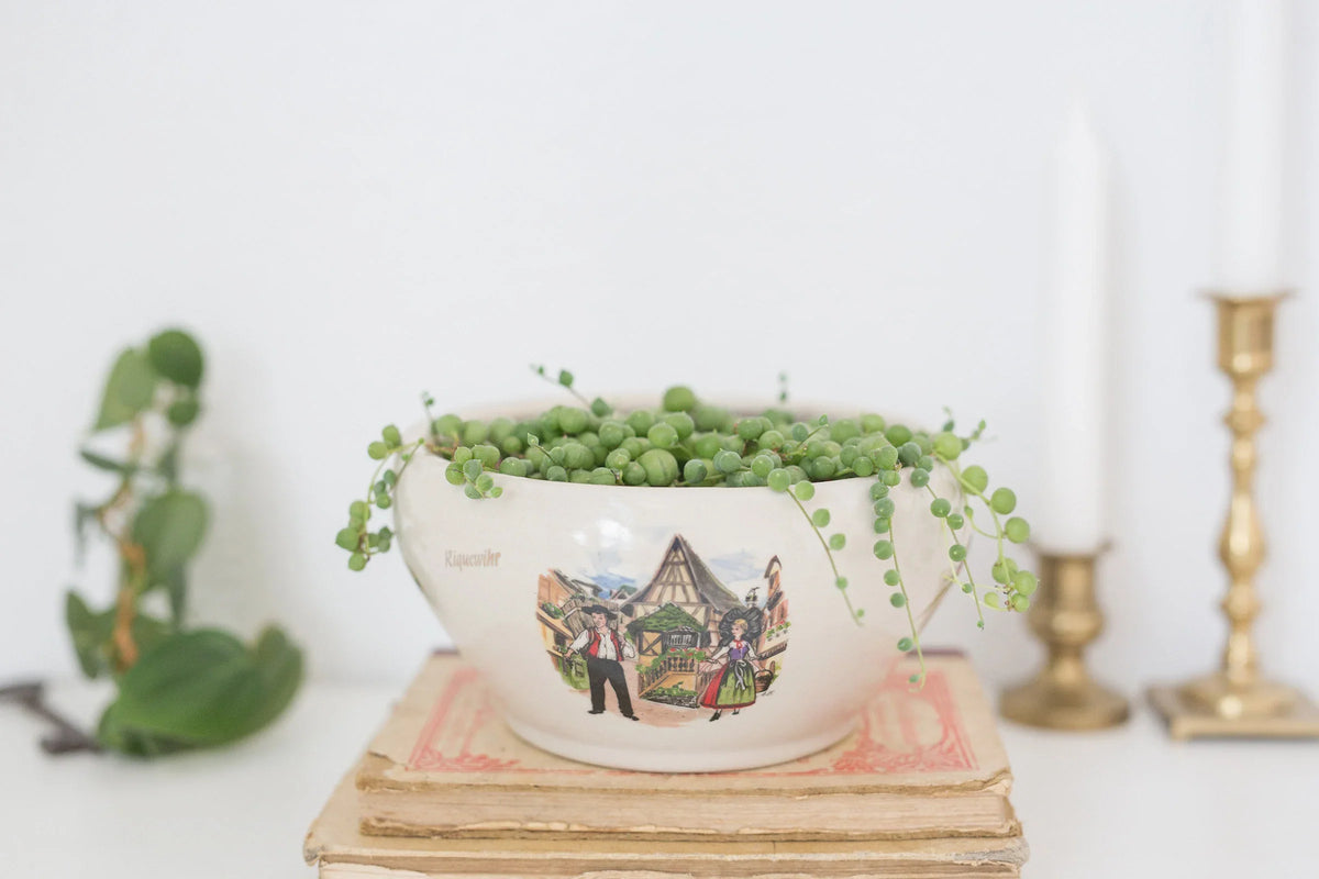 Vases & Planters
