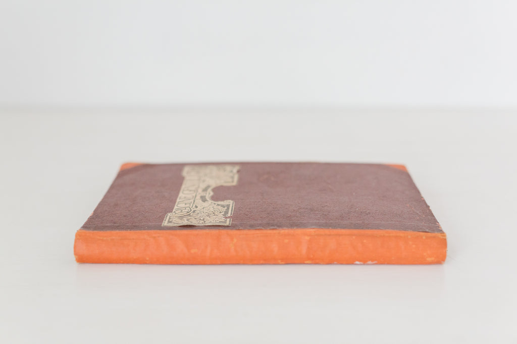Large Vintage hardbound Italian book from the 1920s