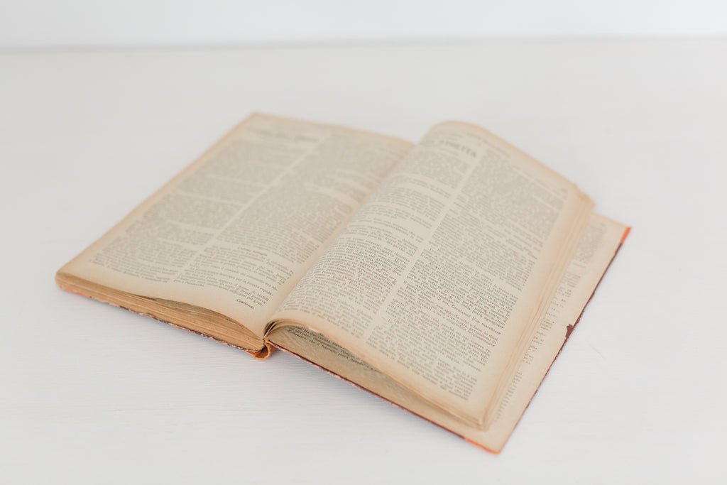 Large Vintage hardbound Italian book from the 1920s