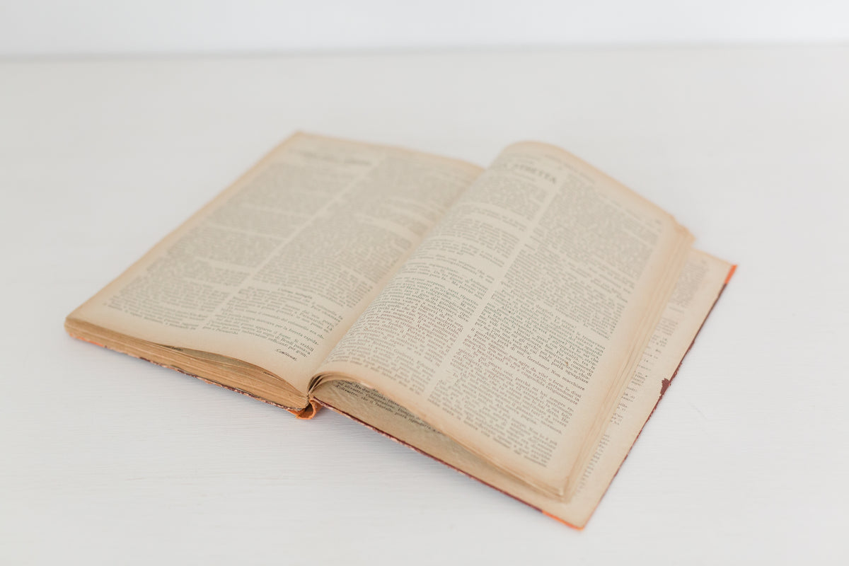 Large Vintage hardbound Italian book from the 1920s