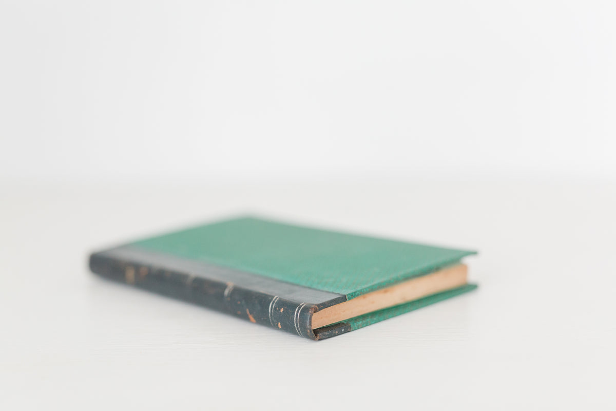 Vintage 1970 Ernesto Leal Afonso III book