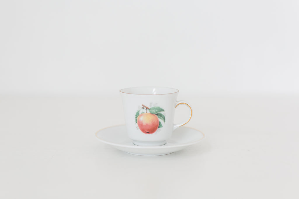 Vintage German Tea Cup and Saucer Set with Fruit Design