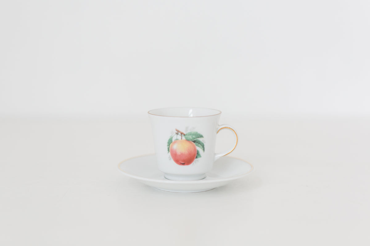 Vintage German Tea Cup and Saucer Set with Fruit Design