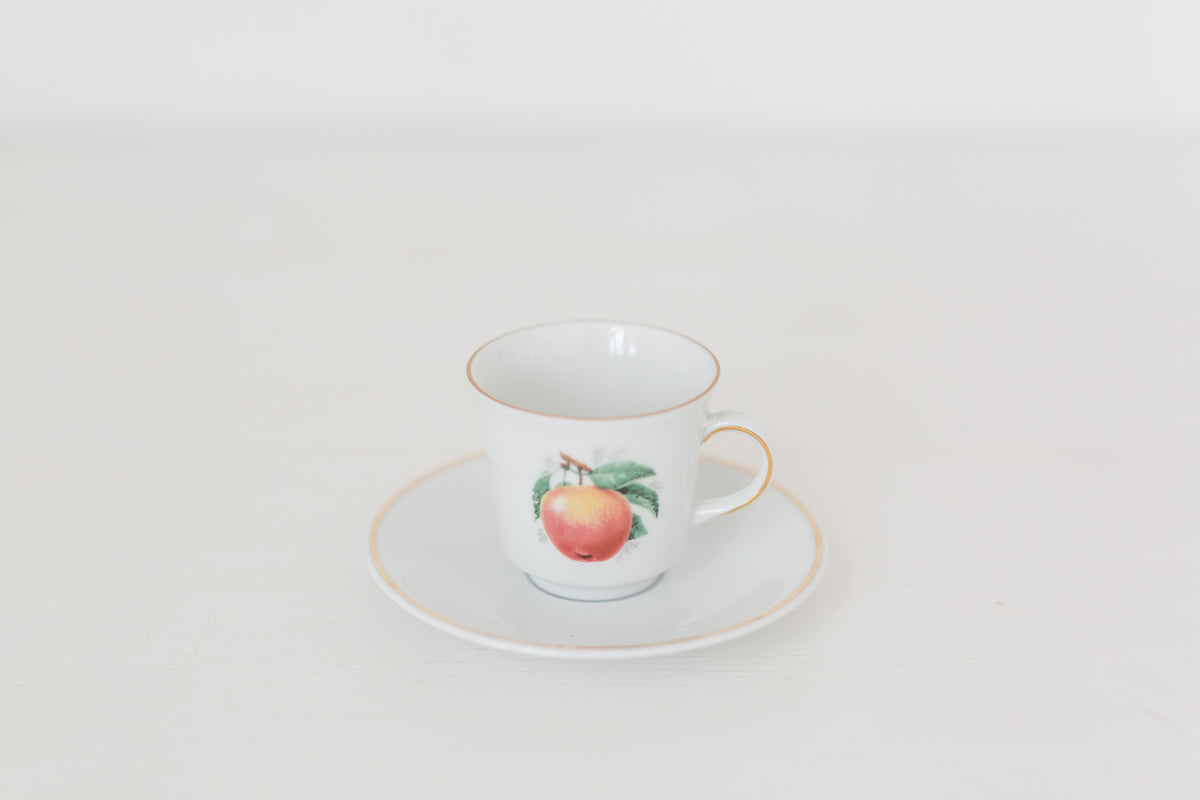 Vintage German Tea Cup and Saucer Set with Fruit Design