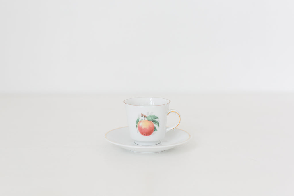 Vintage German Tea Cup and Saucer Set with Fruit Design
