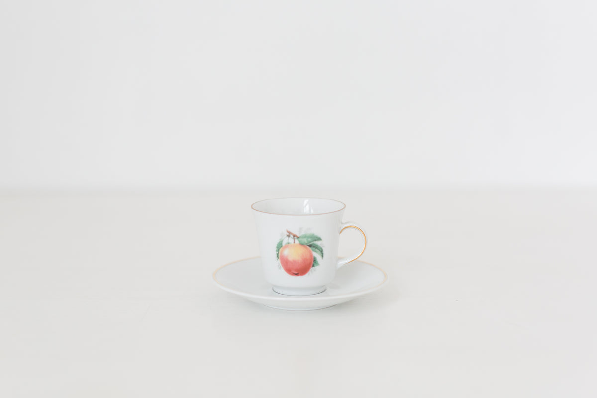Vintage German Tea Cup and Saucer Set with Fruit Design