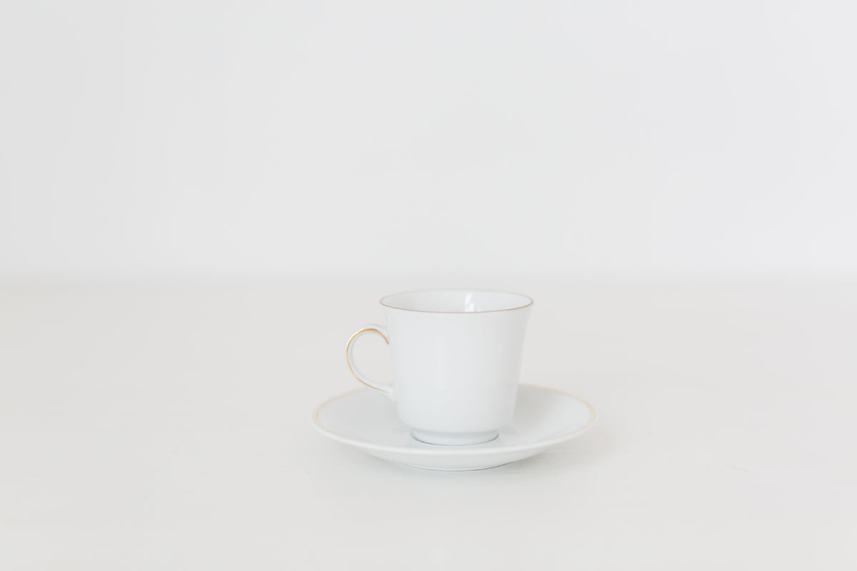 Vintage German Tea Cup and Saucer Set with Fruit Design