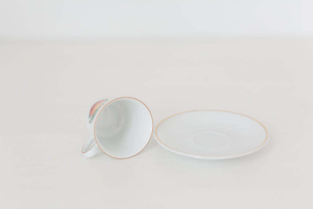 Vintage German Tea Cup and Saucer Set with Fruit Design