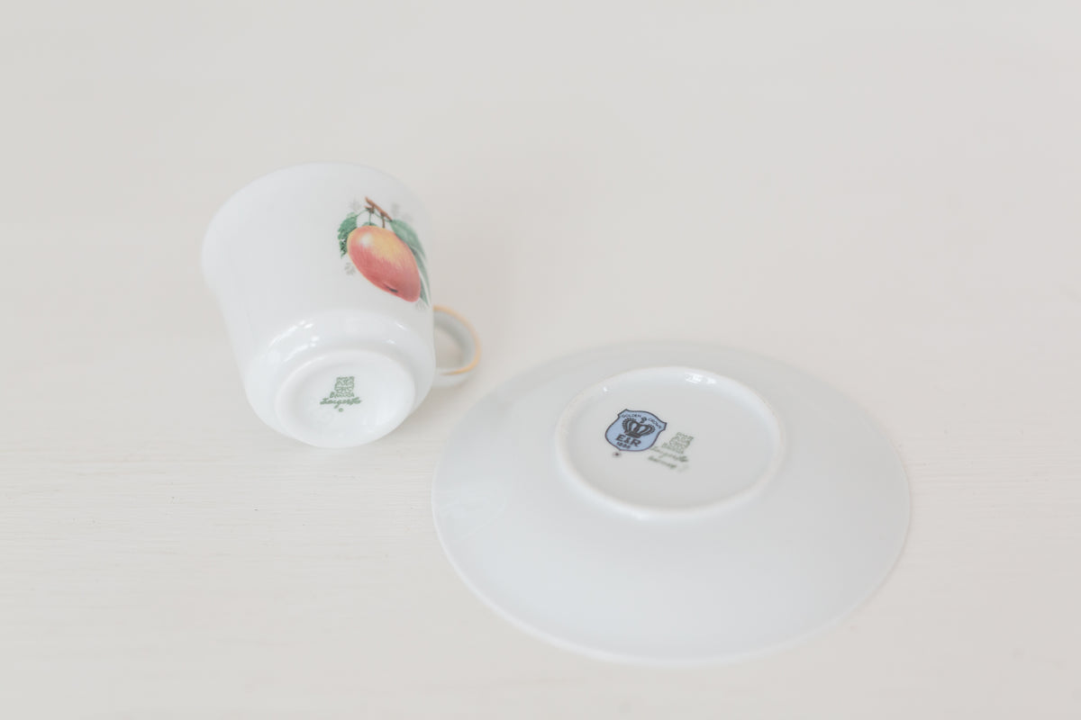 Vintage German Tea Cup and Saucer Set with Fruit Design