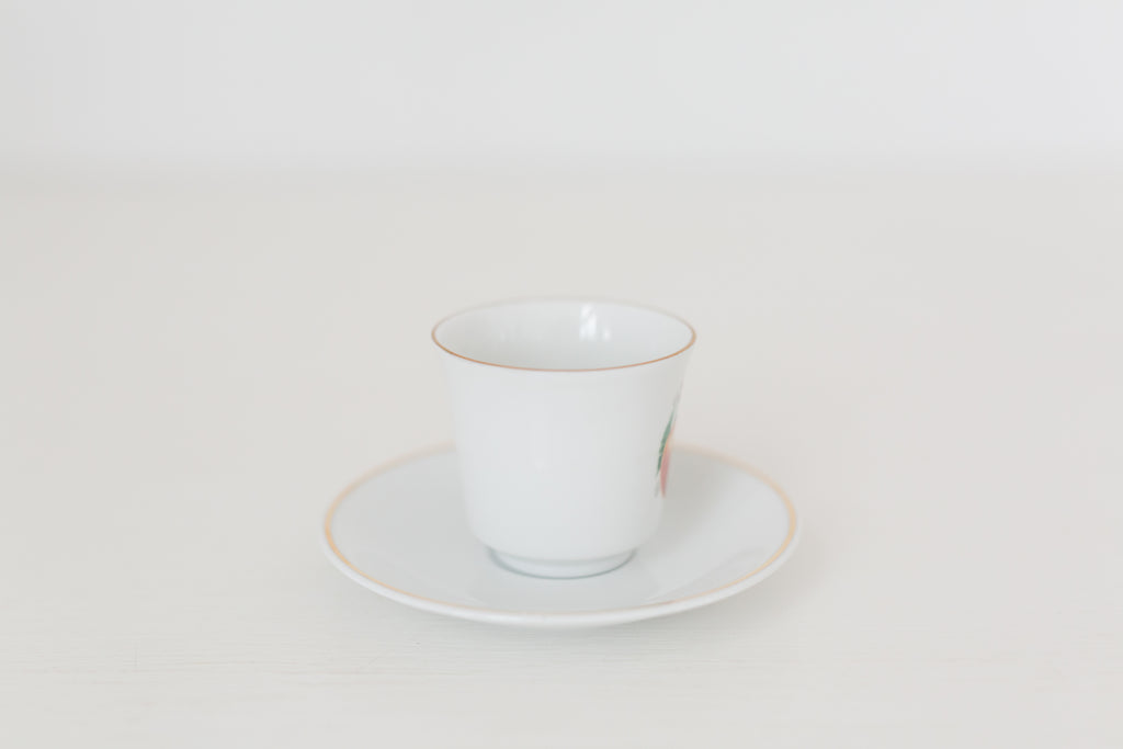 Vintage German Tea Cup and Saucer Set with Fruit Design