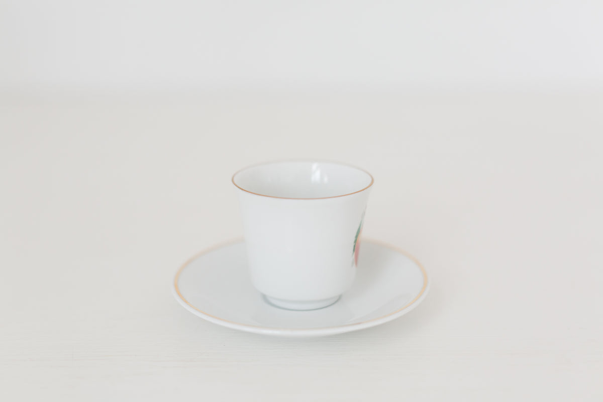Vintage German Tea Cup and Saucer Set with Fruit Design