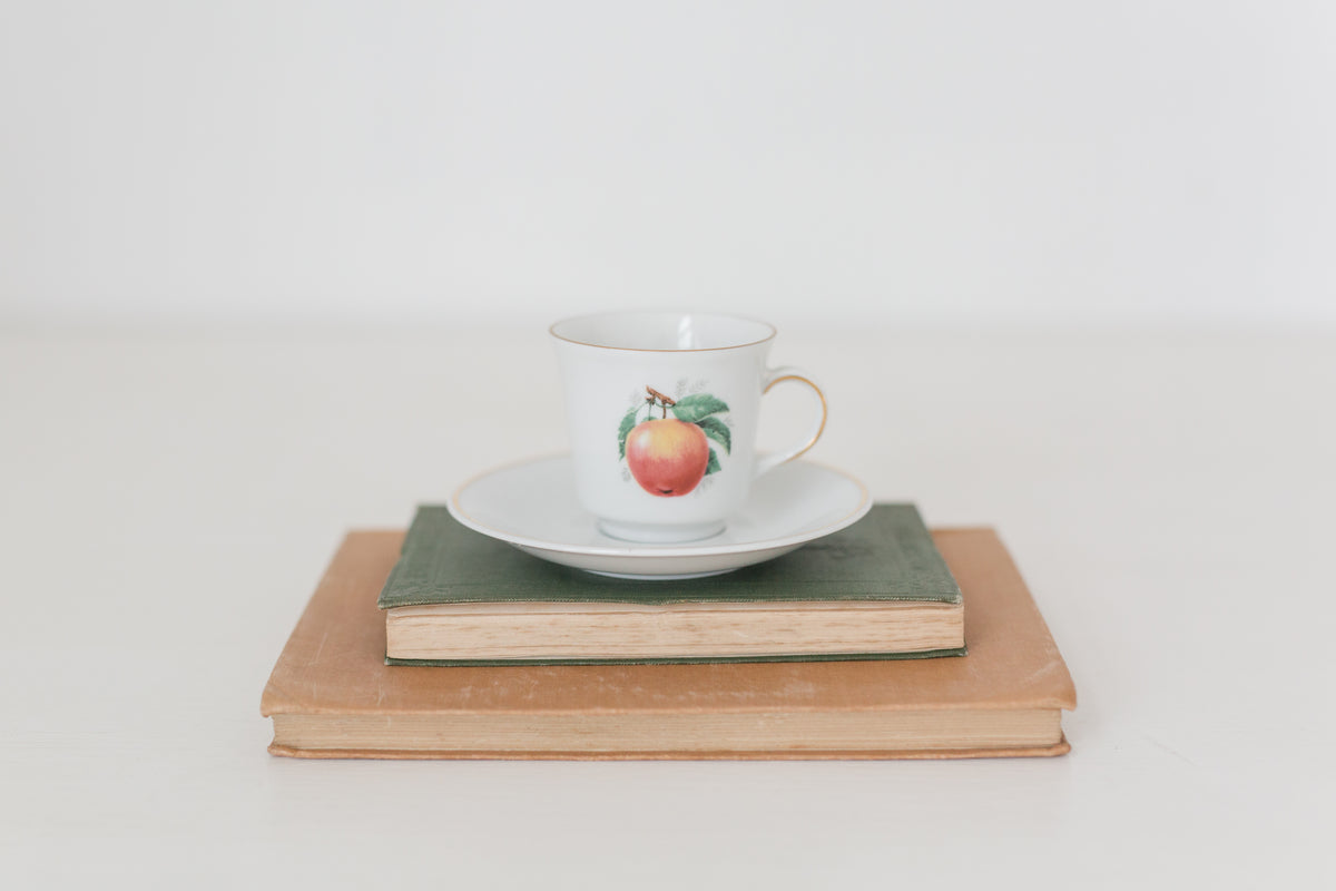 Vintage German Tea Cup and Saucer Set with Fruit Design