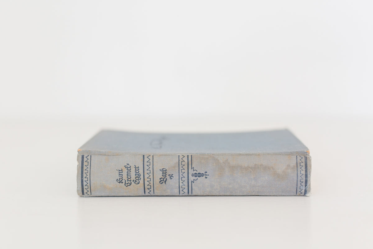 Vintage 1934 German book "Barb Der Roman Einer Detchen"