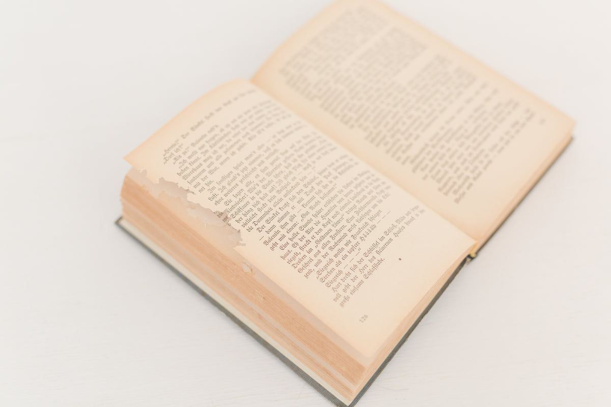 Vintage 1934 German book "Barb Der Roman Einer Detchen"