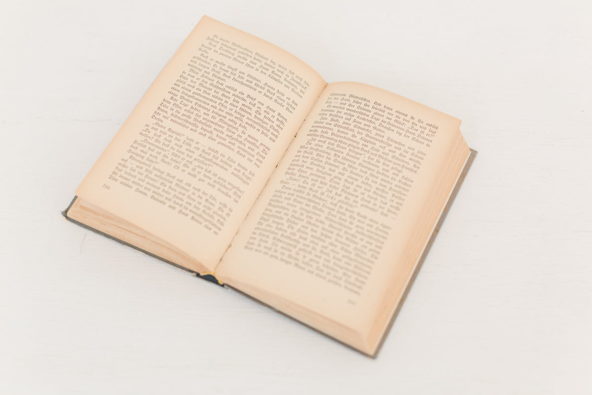 Vintage 1934 German book "Barb Der Roman Einer Detchen"
