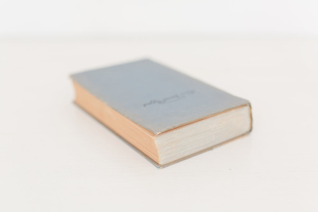 Vintage 1934 German book "Barb Der Roman Einer Detchen"