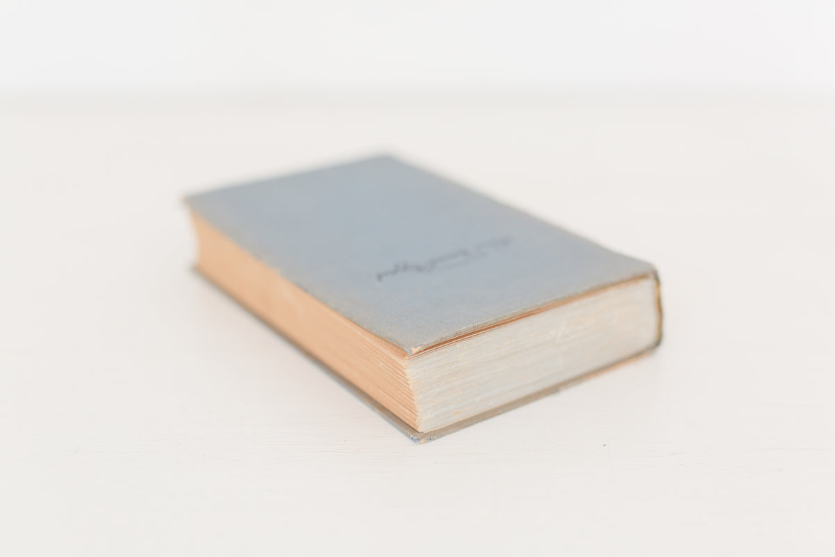 Vintage 1934 German book "Barb Der Roman Einer Detchen"