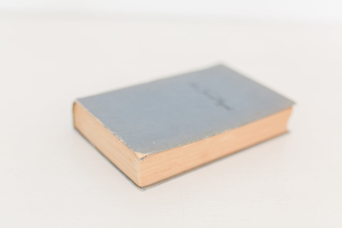 Vintage 1934 German book "Barb Der Roman Einer Detchen"