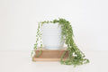 Vintage Hobnail milk glass Fire King planter, vase, or mixing bowl